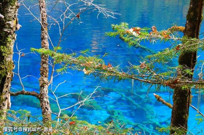 新浪彩票app官网下载-四川旅游五天四晚，四川旅游团报价，看完就出发