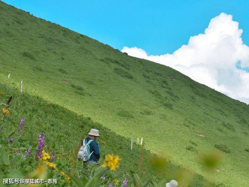 去四川玩5天需要多少钱,东营到四川旅游5天4晚价格多少，防坑省钱攻略