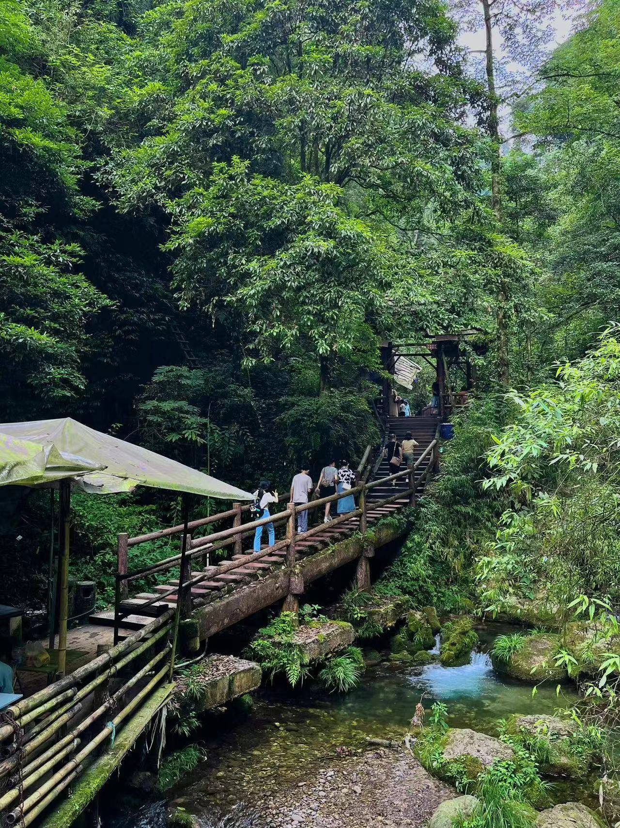 热购彩票线路2-国庆节去四川旅游怎么玩？看完这篇攻略就明白了