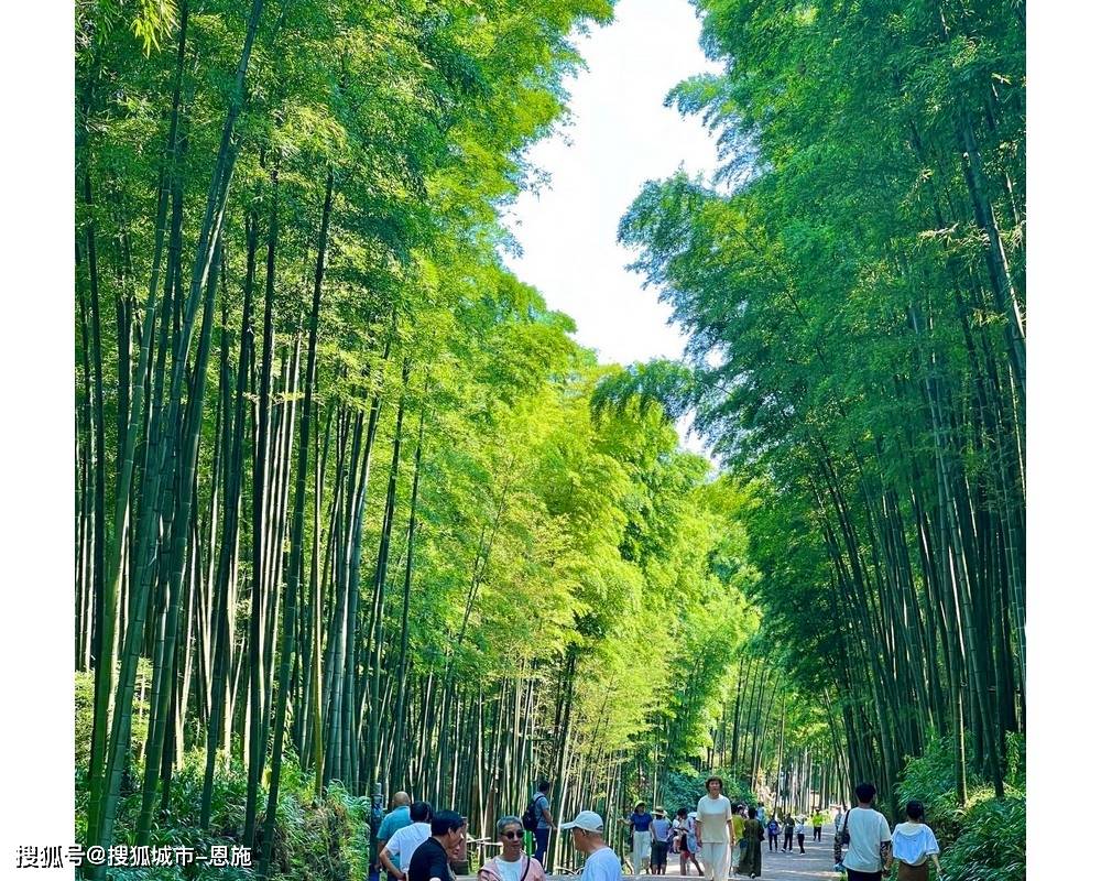 7070彩票app正版-四川旅游必去景点攻略，四川九寨沟、峨眉山五日游攻略，结伴自由