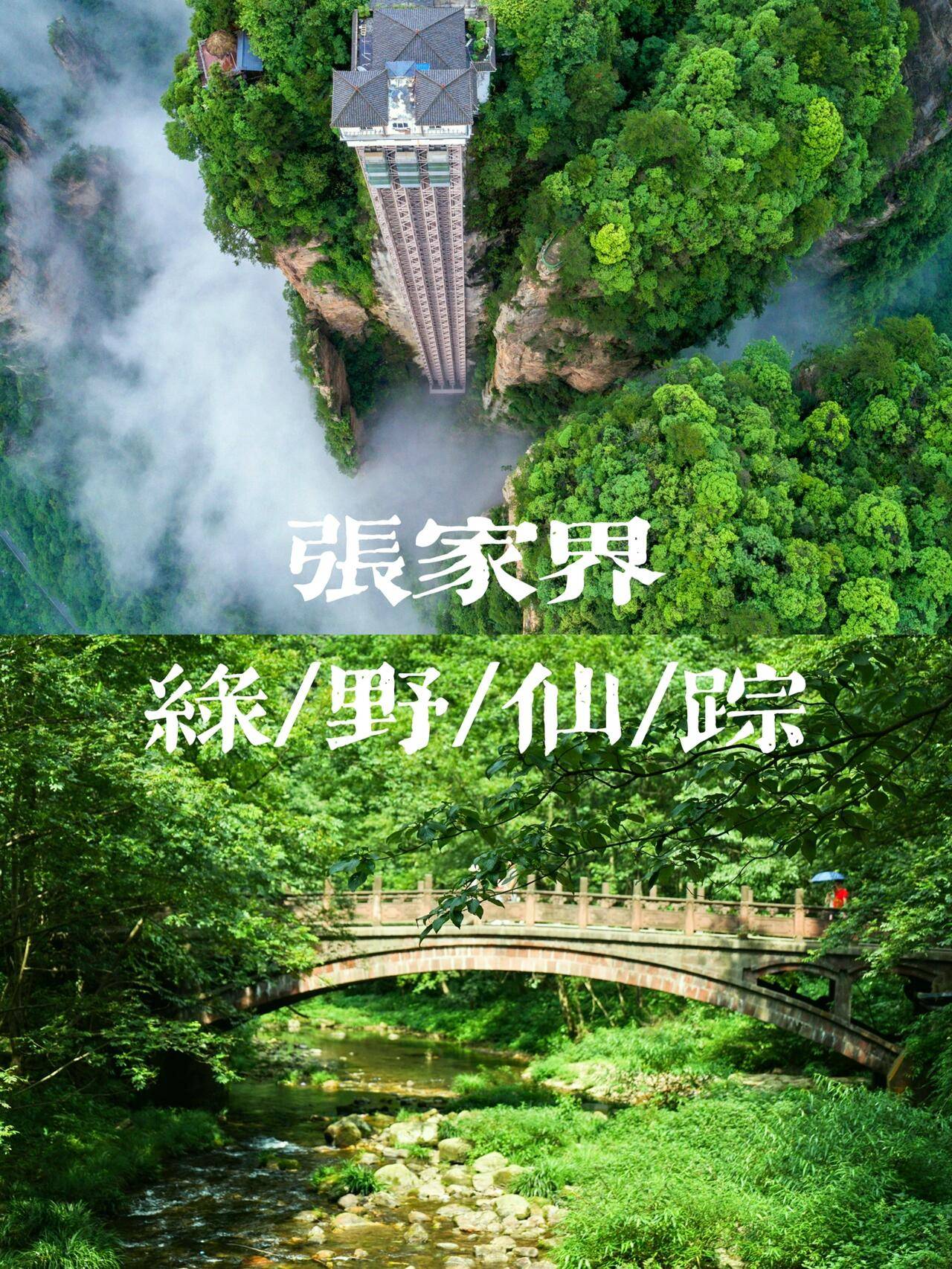 万人大赢家-天津去油尖旺旅游最新攻略，参团游玩费用，避坑请看这篇