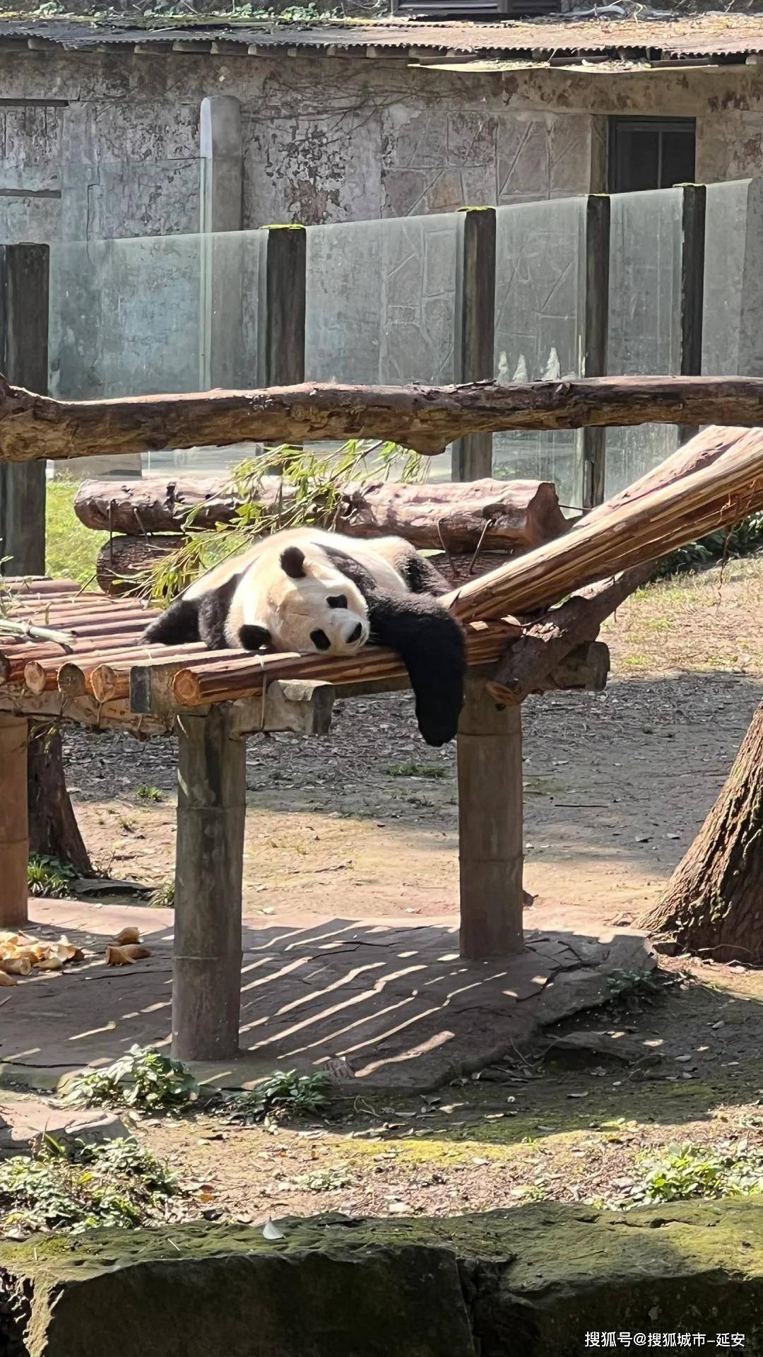 重庆旅游四天三晚 —吃住行一条龙全包了！