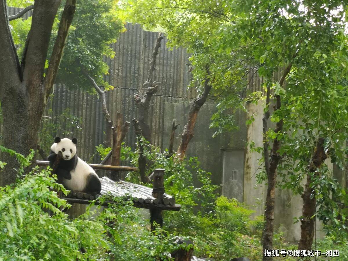 大美新疆成都航空“吐鲁番号”旅游包机首航仪式举行