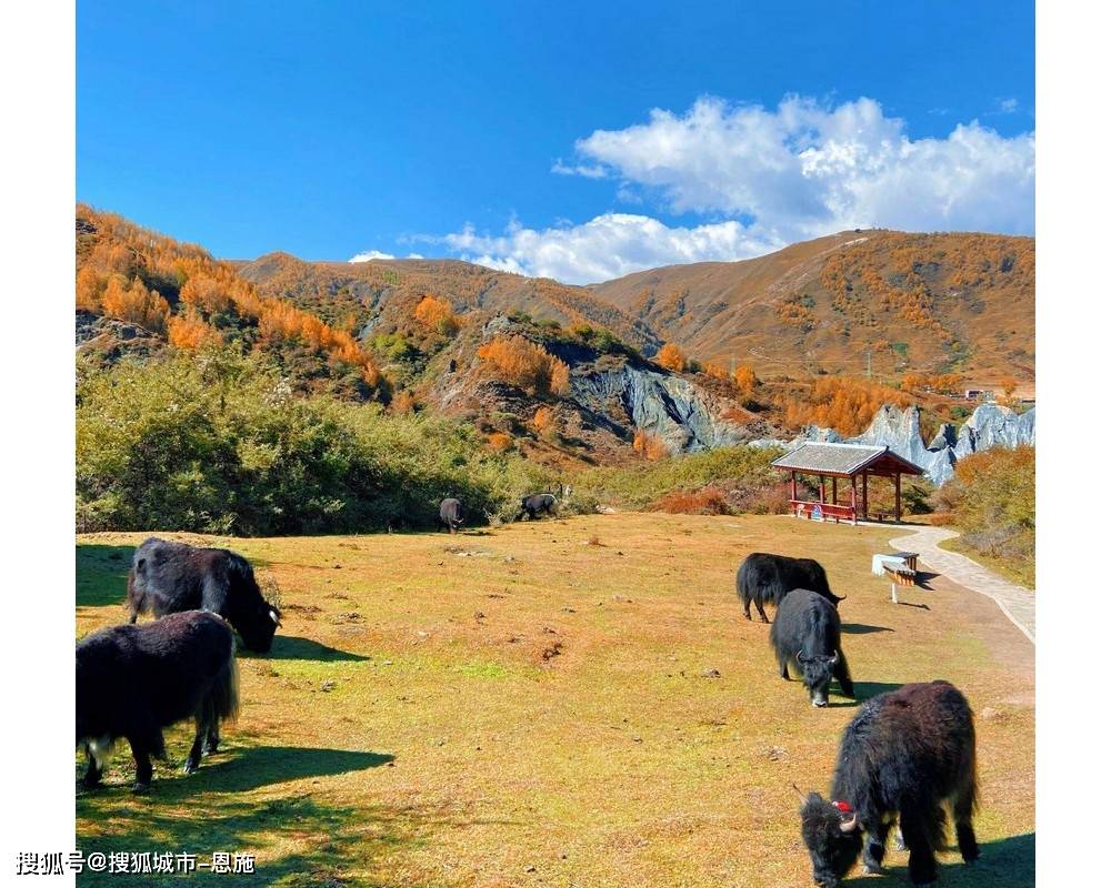 2个人去四川旅游6天5晚旅游攻略,熬夜整理