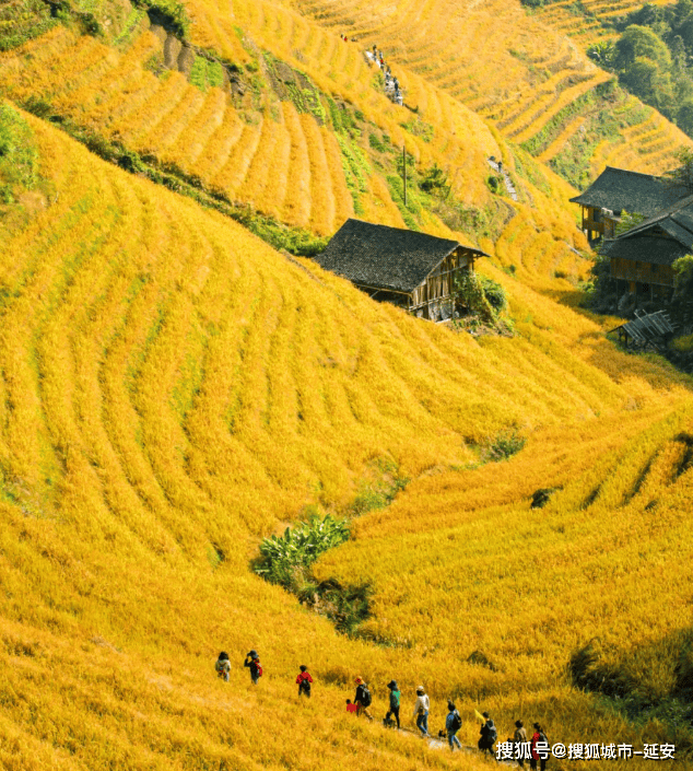 广西旅游自由行5天行程，组团去广西古龙山五日游路线攻略