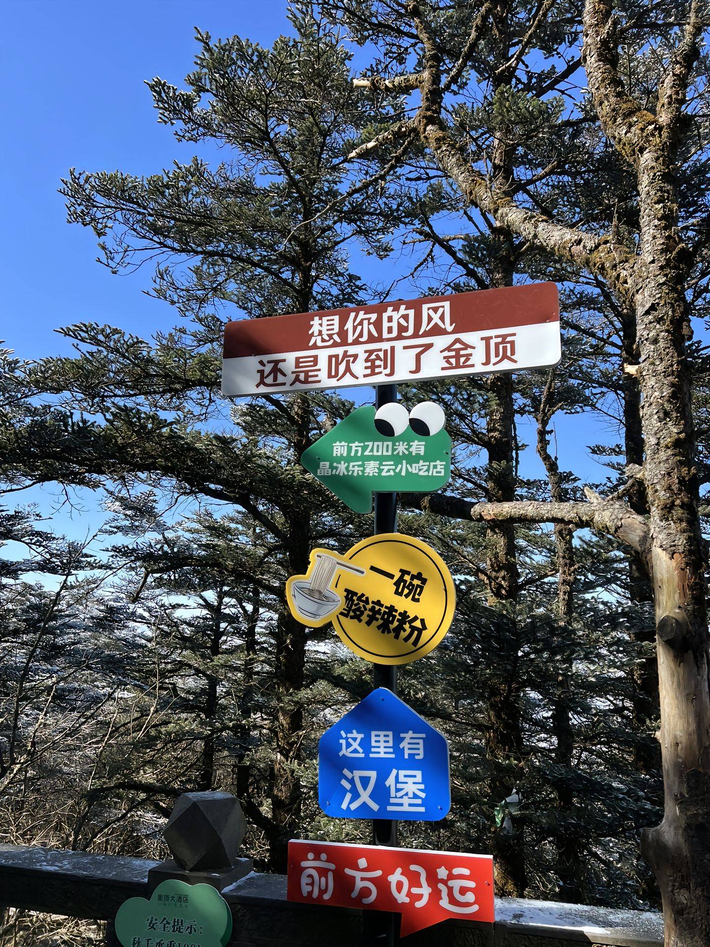 台州去四川黄龙玩7天需要多少钱，四川旅游7天6晚费用