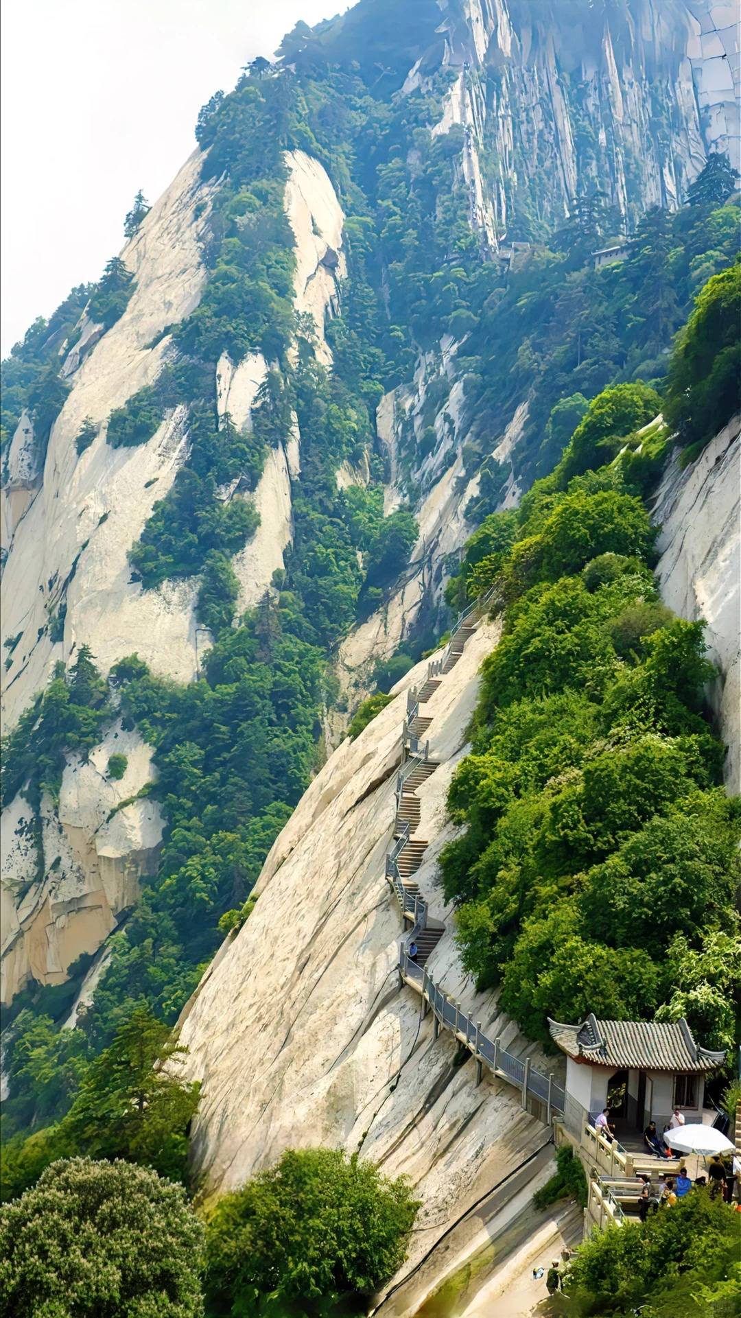 九鼎国际彩票平台-天津到厦门旅游攻略自驾游，自由驰骋在厦门！