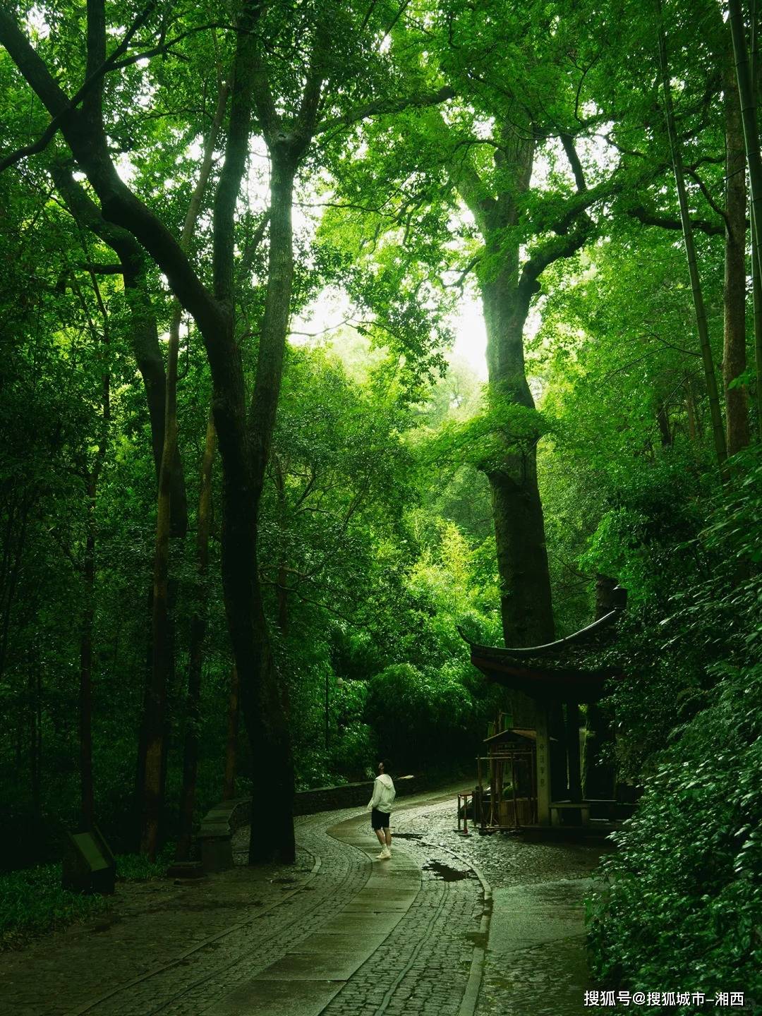 杭州旅游十大景点打卡指南，专业导游解说，杭州旅游攻略精选