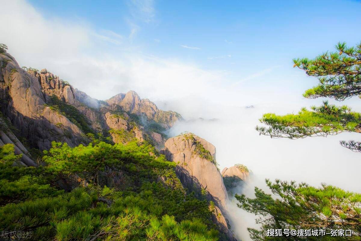 花创互娱-第十四届安徽国际文化旅游节即将启幕