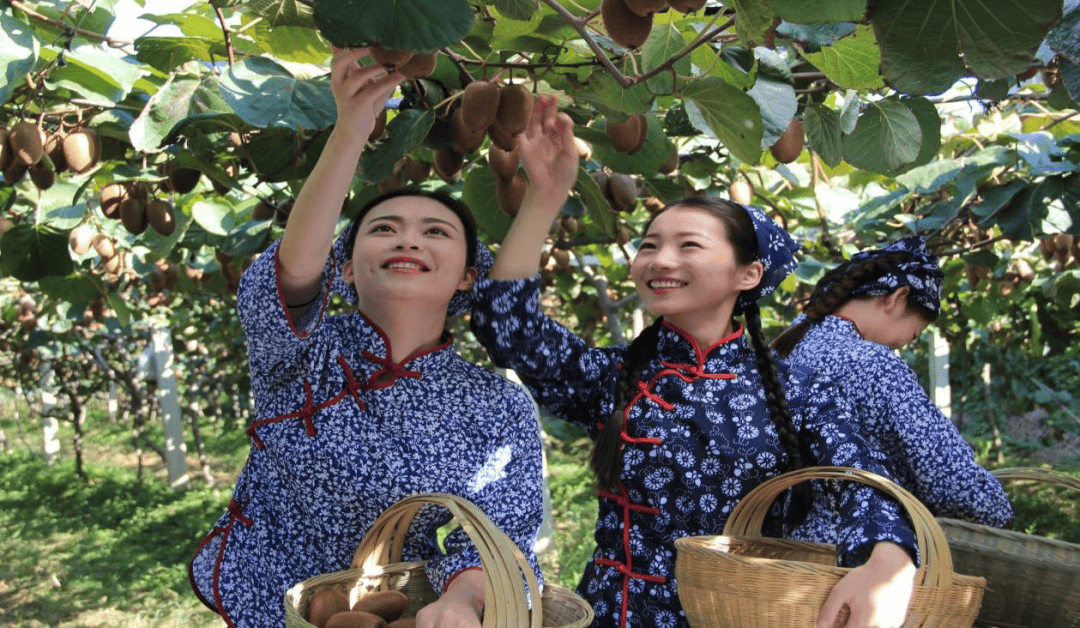 春秋彩票-陕西适合带老人旅游的地方，陕西旅游攻略自由行怎么玩，超详细攻略码住