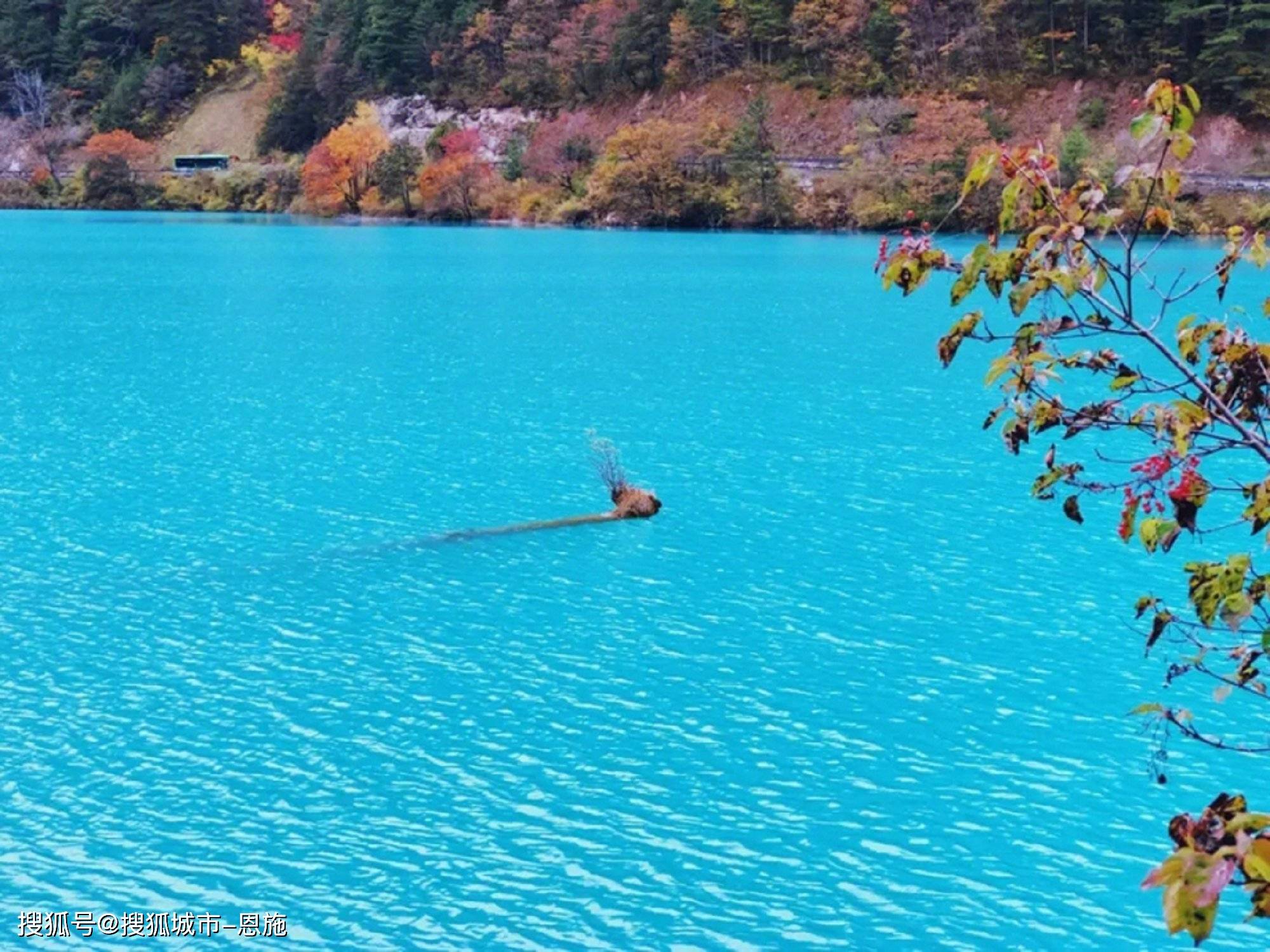 四川五日游玩行程景点分享，推荐四川旅游管家安排此次5天行程