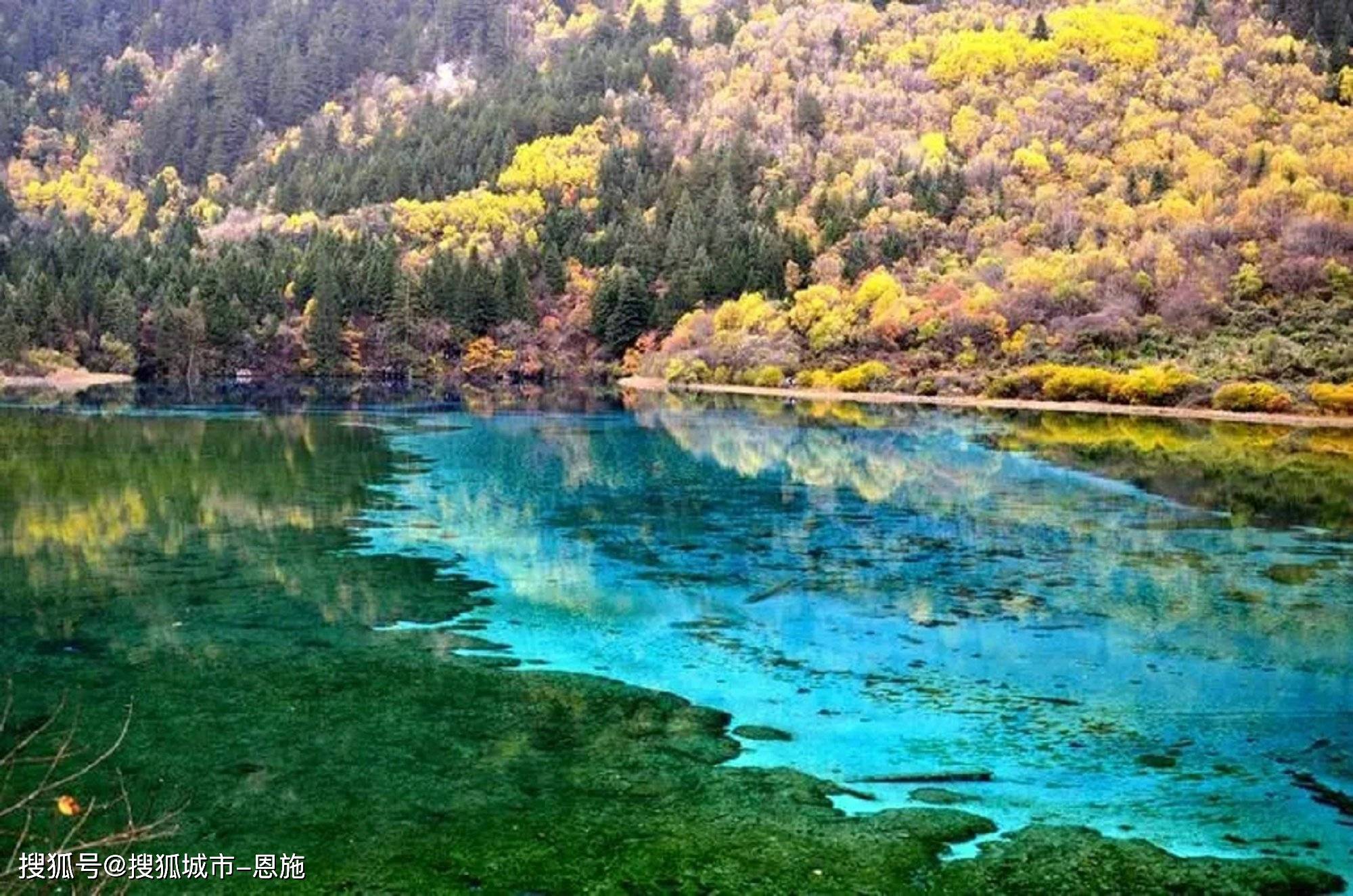 山东去四川跟团旅游五天费用多少钱，四川旅游跟团游人均报价多少，省钱篇