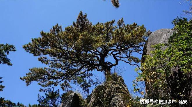 博金彩票官网下载-安徽秋季旅游胜地大揭秘：金秋时节，美景如画！